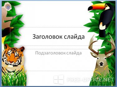 Скриншот шаблона «Животные из джунглей» – рис.1