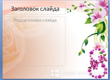 Скриншот шаблона «Лилии и орхидеи» – рис.1