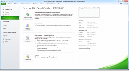 Интерфейс Microsoft Office 2010 – рис.3