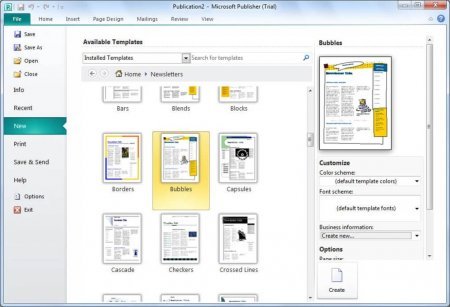 Интерфейс Microsoft Publisher 2010 - рис.4
