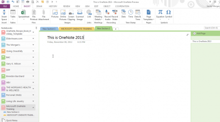 Интерфейс Microsoft OneNote 2013 - рис.1