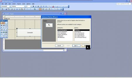 Интерфейс Microsoft Access 2003 - рис.1