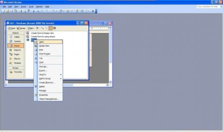 Интерфейс Microsoft Access 2003 - рис.3