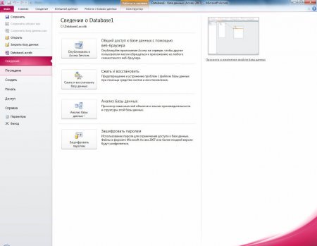Интерфейс Microsoft Access 2010 - рис.3
