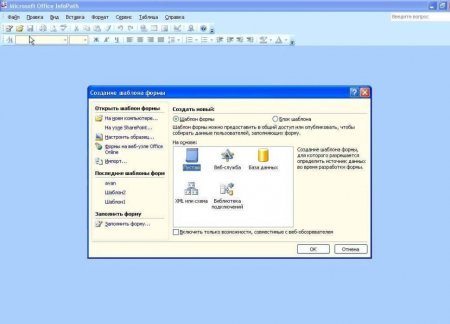 Интерфейс Microsoft InfoPath 2003 - рис.4