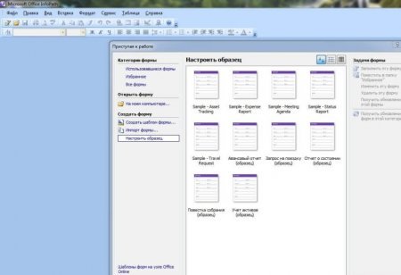 Интерфейс Microsoft InfoPath 2007 - рис.1