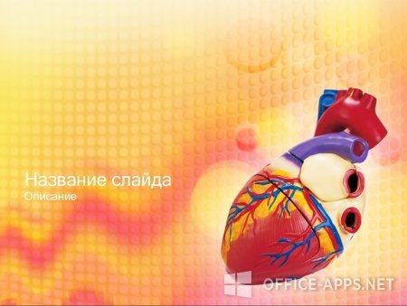 Скриншот шаблона «Модель сердца» – рис.1